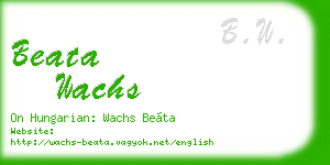 beata wachs business card